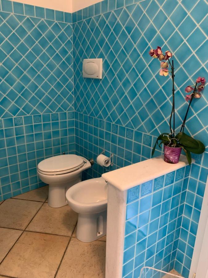 Apartment Biora *
